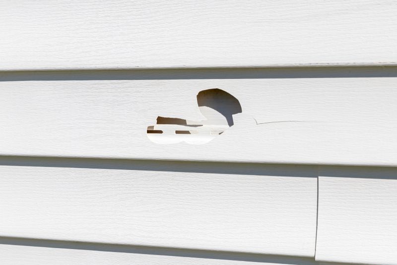 Vinyl Siding Repair - Image 5