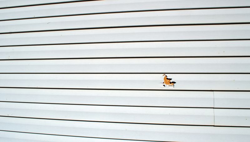 Vinyl Siding Repair - Image 11